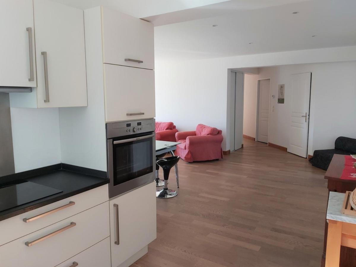 Appartement 3*** Avec Jardin Et Wifi A Proximite De Saint Jean De Luz - Fr-1-239-504 Ascain Dış mekan fotoğraf